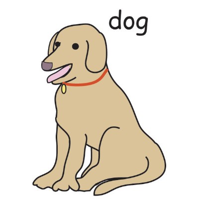 dog.jpg