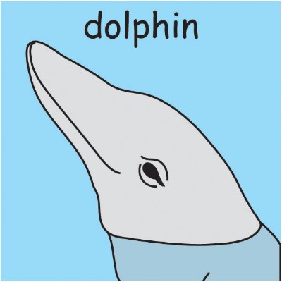 dolphin.jpg