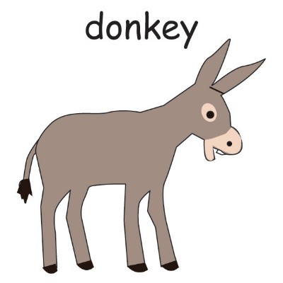 donkey.jpg