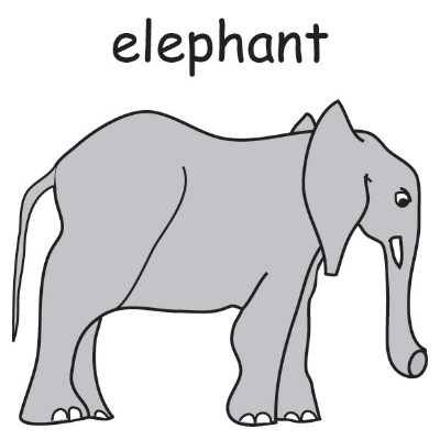elephant.jpg