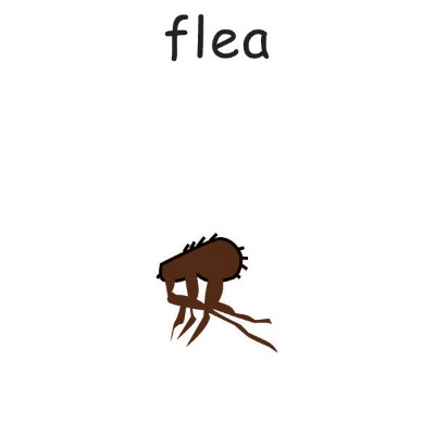 flea.jpg