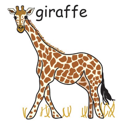 giraffe.jpg