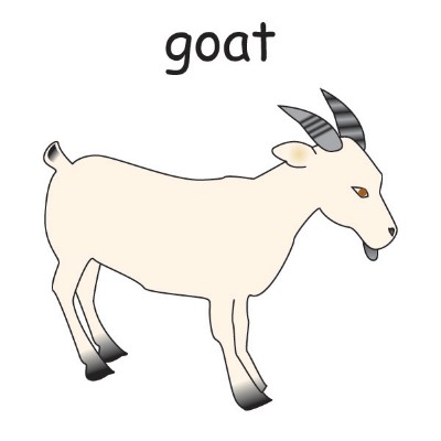 goat.jpg