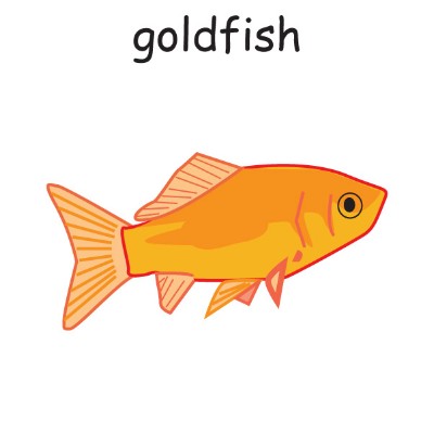 goldfish.jpg
