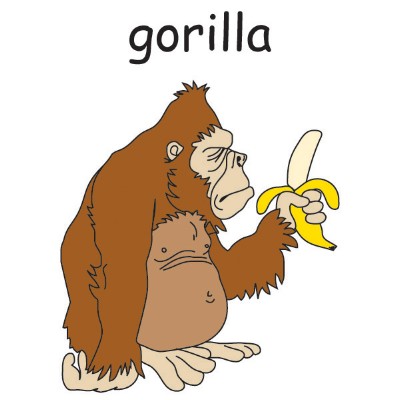 gorilla.jpg