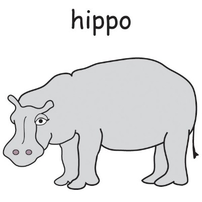 hippo.jpg