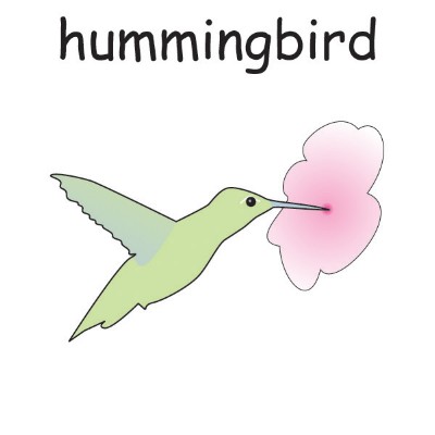 hummingbird.jpg