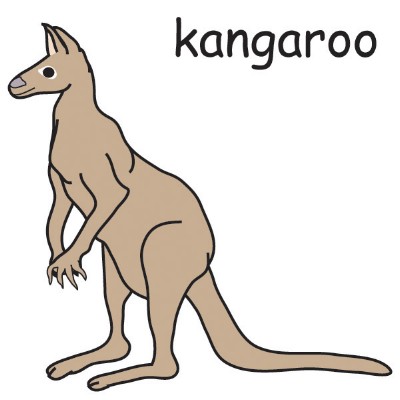 kangaroo.jpg