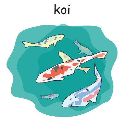 koi.jpg