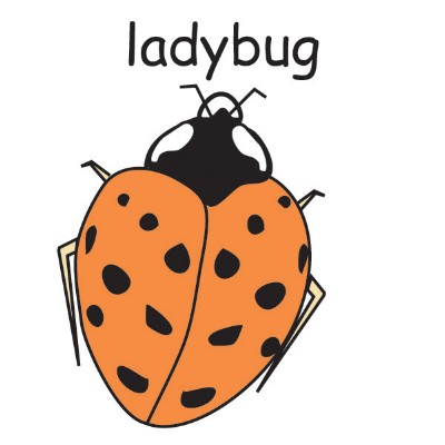 ladybug.jpg