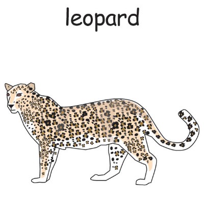 leopard.jpg