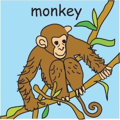 monkey.jpg