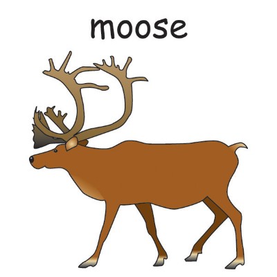 moose.jpg