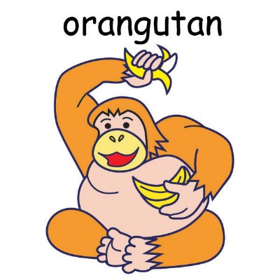 orangutan.jpg