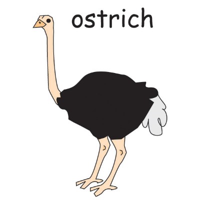 ostrich.jpg