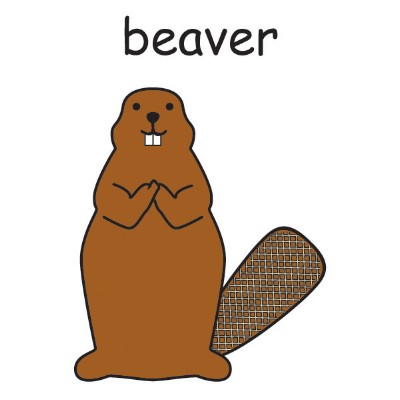 beaver.jpg