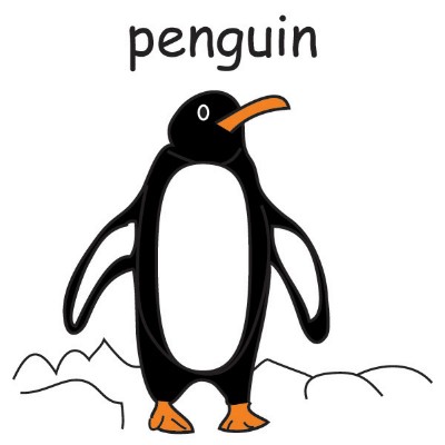 penguin.jpg