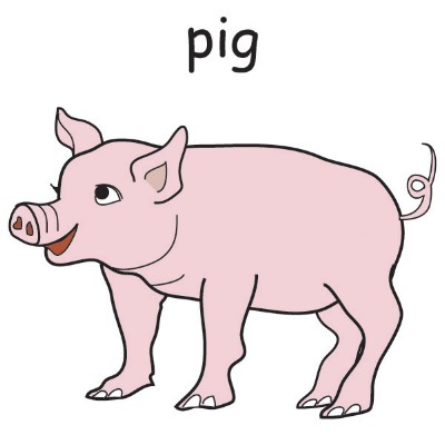 pig.jpg