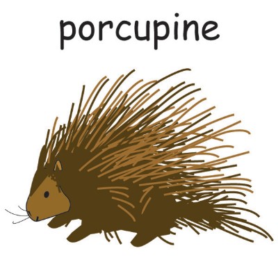 porcupine.jpg