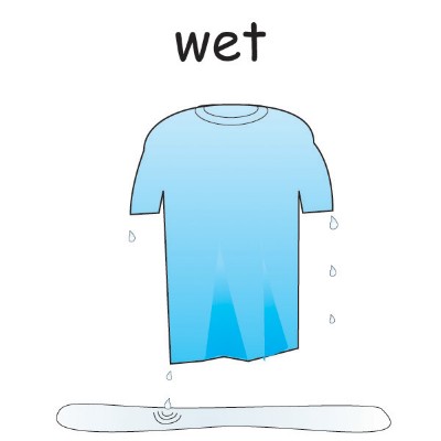 wet.jpg