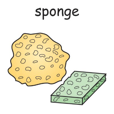 sponge.jpg