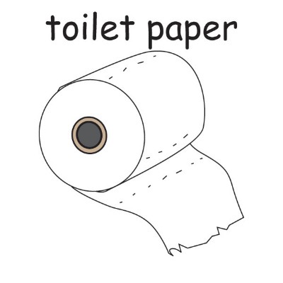 toilet paper.jpg