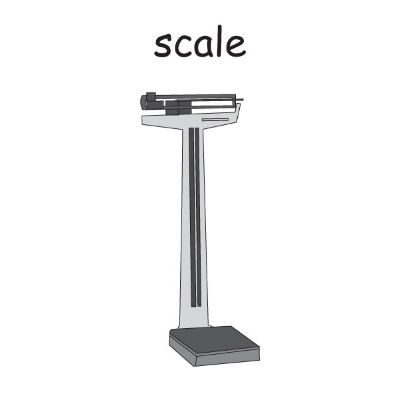 scale.jpg