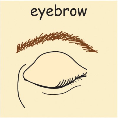 eyebrow.jpg