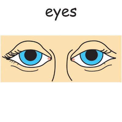 eyes.jpg