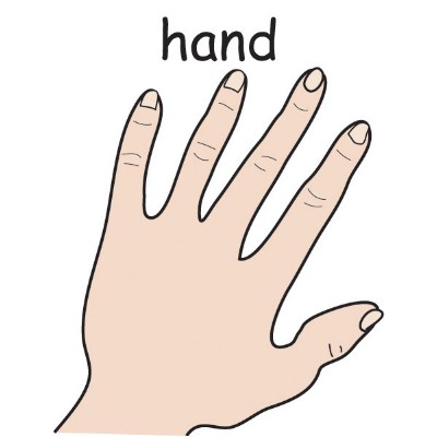 hand.jpg