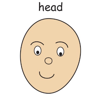 head.jpg