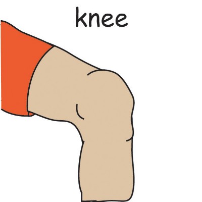 knee.jpg