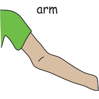 arm.jpg