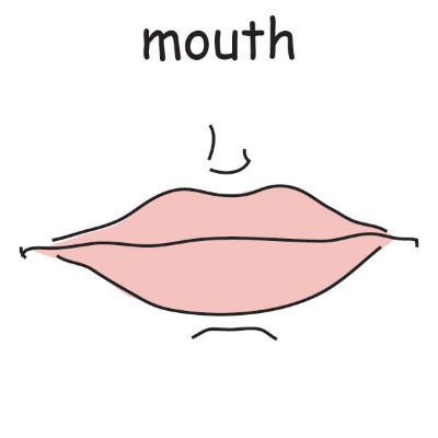 mouth.jpg