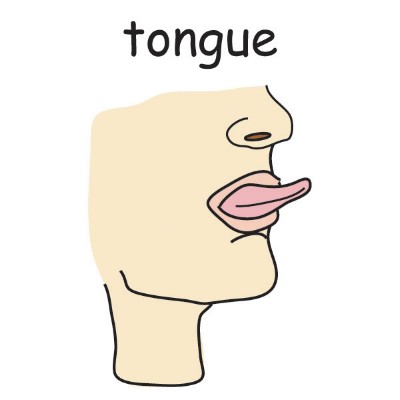 tongue.jpg