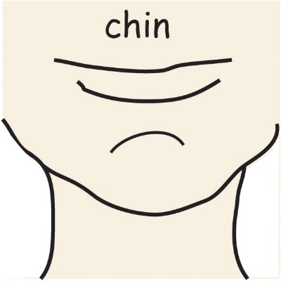 chin.jpg