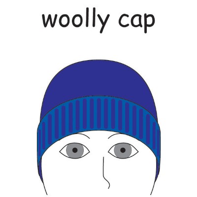 woolly cap.jpg
