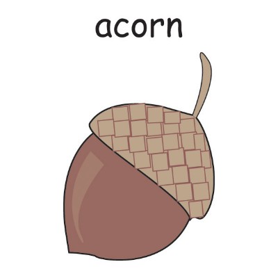 acorn.jpg