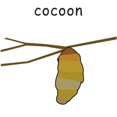 cocoon.jpg
