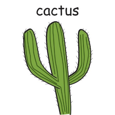 cactus.jpg