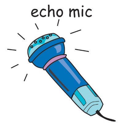 echo mic.jpg