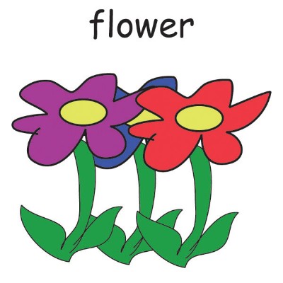 flower.jpg