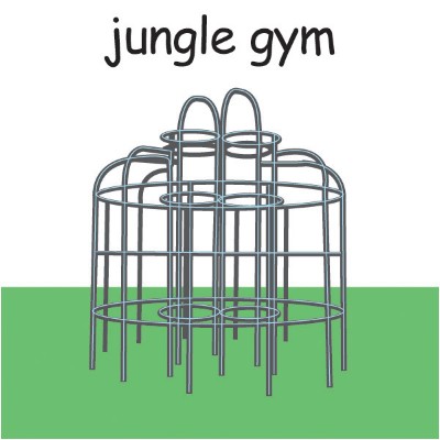 jungle gym.jpg