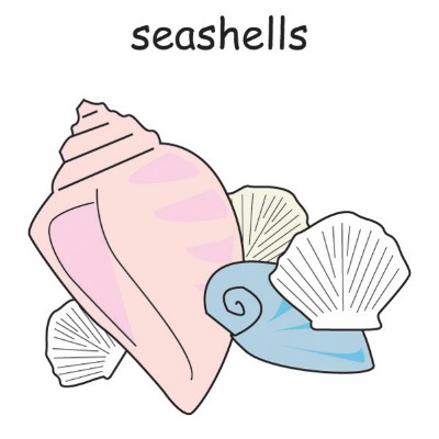 seashells.jpg