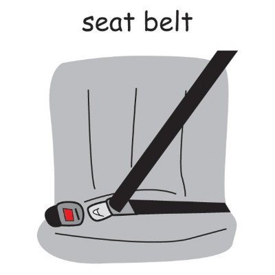 seatbelt.jpg