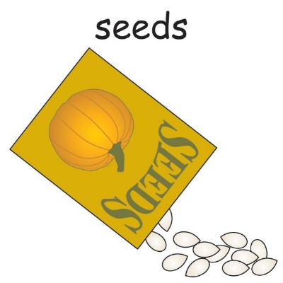 seeds.jpg