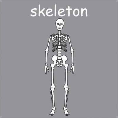 skeleton 1.jpg