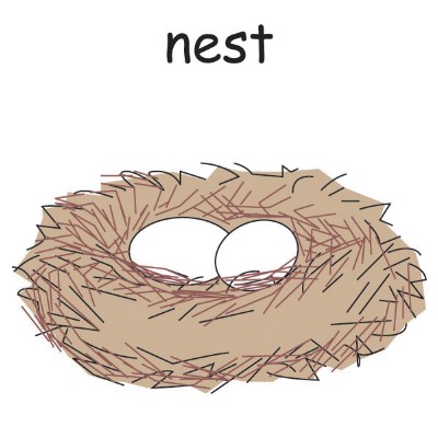 nest.jpg