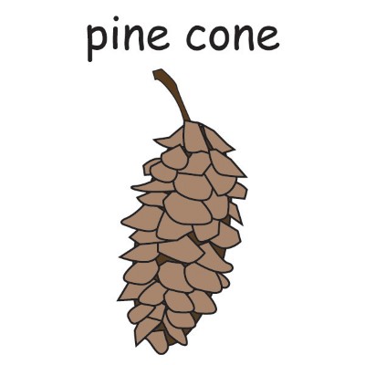 pine cone.jpg