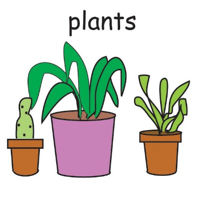 plants.jpg